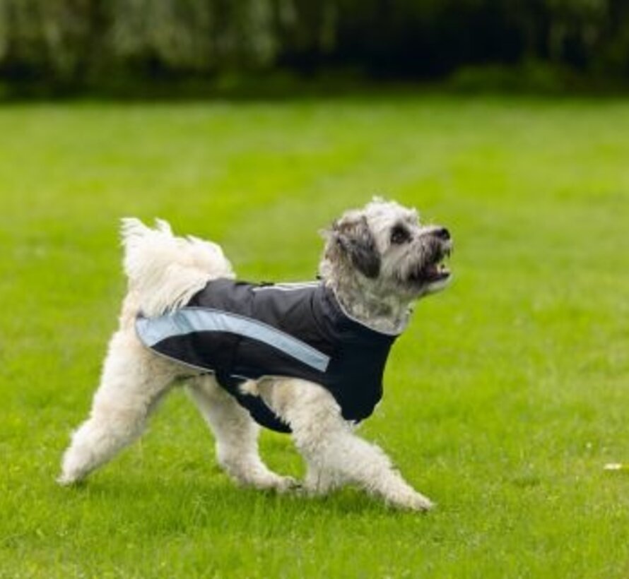 Beeztees Saby Hondenjas Zwart/Blauw 28cm