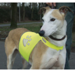 Zichtbaarheid hond