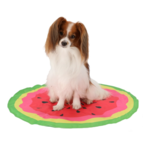 Verkoeling hond