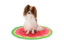 Verkoeling hond