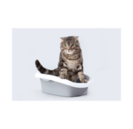 Kattenbakken