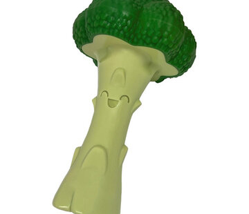 Nylabone Chew Broccoli Groen Bacon Kaas L