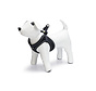 Beeztees Premium Parinca Instaptuig Nylon/Neopreen Zwart 44-55
