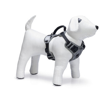 Beeztees Beeztees Safety Gear Parinca Premium Y-Tuig  Hondentuig LED Nylon 38-51