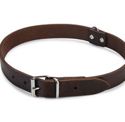 Beeztees Beeztees Halsband Hond Leer Bruin 43-52 cm x 20mm