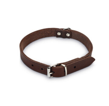 Beeztees Beeztees Halsband Hond Leer Bruin 32-37 cm x 16mm