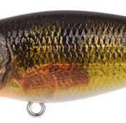 SPRO Spro Ikiru Shad SL 7.0cm 10gr