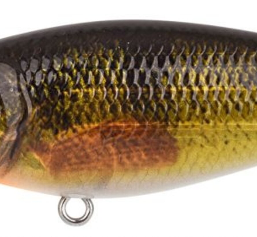 Spro Ikiru Shad SL 7.0cm 10gr
