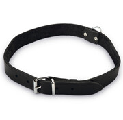 Beeztees Beeztees Halsband Hond Leer Zwart 55-65 cm x 25mm