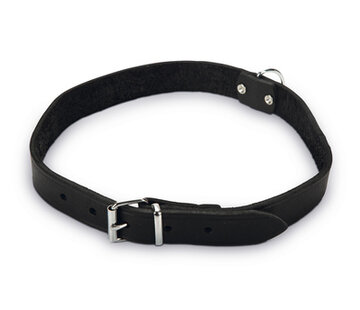 Beeztees Beeztees Halsband Hond Leer Zwart 47-57 cm x 25mm