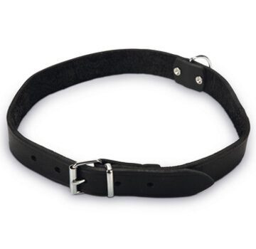 Beeztees Beeztees Halsband Hond Leer Zwart 47-57 cm x 25mm