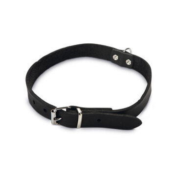 Beeztees Beeztees Halsband Hond Leer Zwart 23-28 cm x 10mm