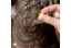 Kattenapotheek