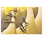 Korda Hinge Rig size 4 Choddy MT 25lb-IQ2 20lb