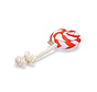 Beeztees Kerst Lolly Pluche 25x12x5cm