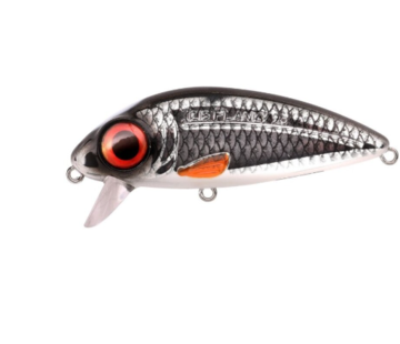 SPRO Spro Iris Flanky Hardlure Roach 7,5cm 13gr