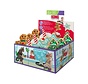 Kong Holiday Scrattles Cafe 1st