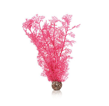 biOrb biOrb hoornkoraal M roze