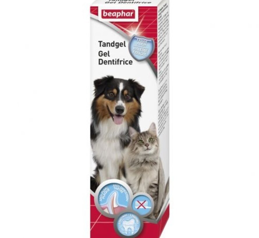 Tandgel hond/kat