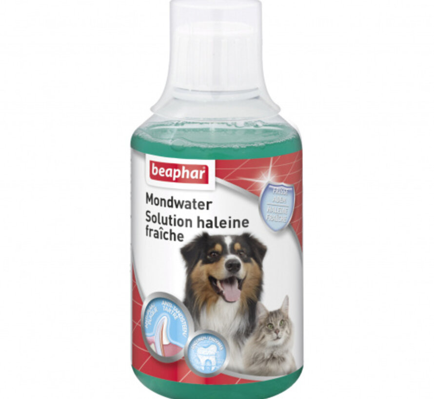 Beaphar Mondwater 250ml Hond/Kat