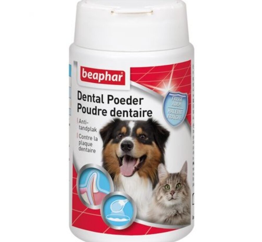 Dental Poeder