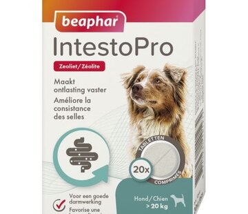Beaphar Beaphar IntestoPro Tabletten hond >20kg 20st