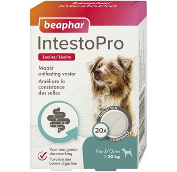 Beaphar Beaphar IntestoPro Tabletten hond >20kg 20st