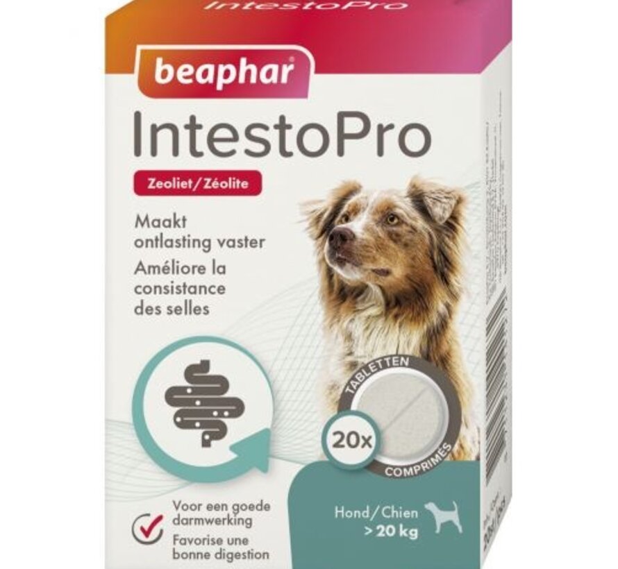 Beaphar IntestoPro Tabletten hond >20kg 20st