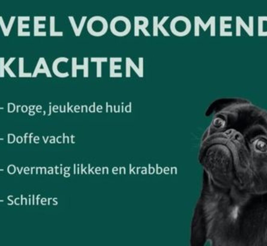 Dogsuppy Omega 369 Huid&Vacht 60st