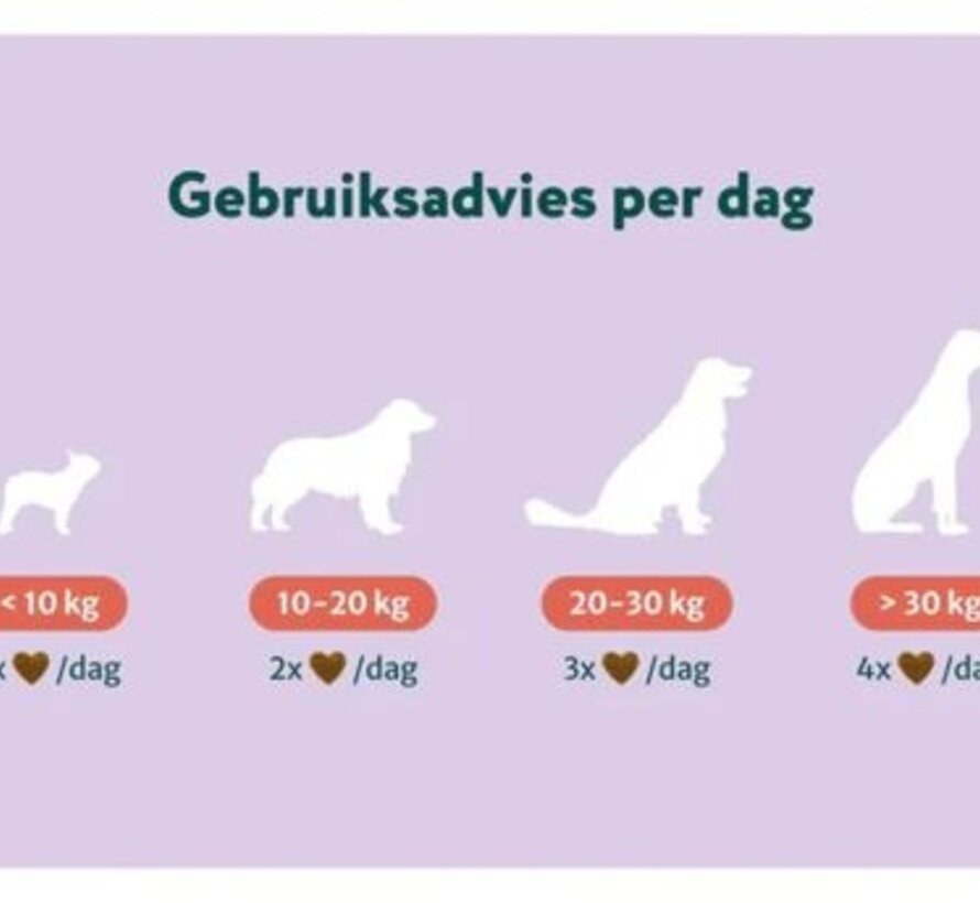 Dogsuppy Anti-Stress&Angst Kip 60st