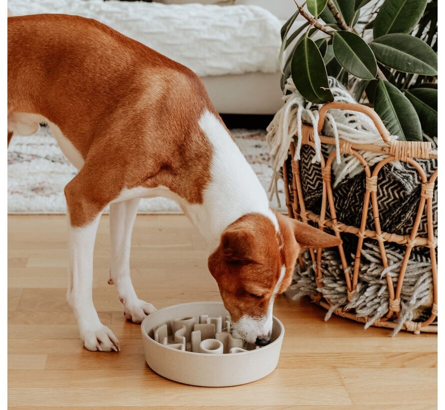 Designed by Lotte Anti Schrokbak Pom Beige - Hond (17cm)
