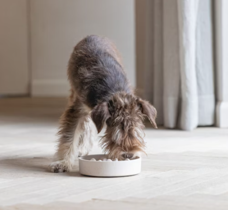 Designed by Lotte Anti Schrokbak Pom Beige - Hond (17cm)