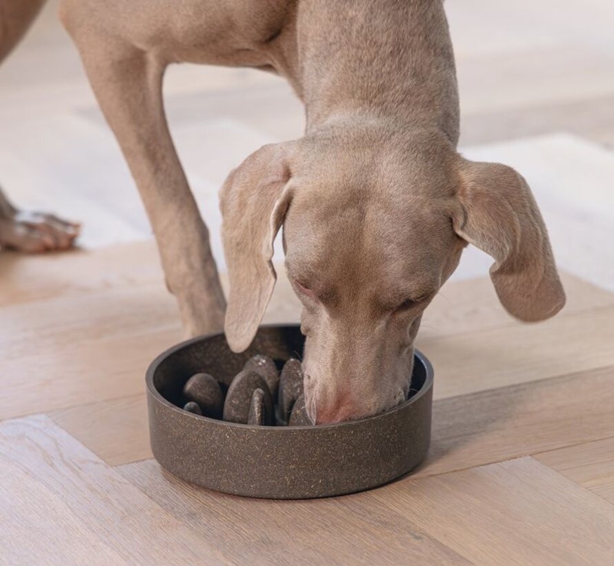Designed by Lotte Anti Schrokbak Pom Grijs - Hond (21cm)