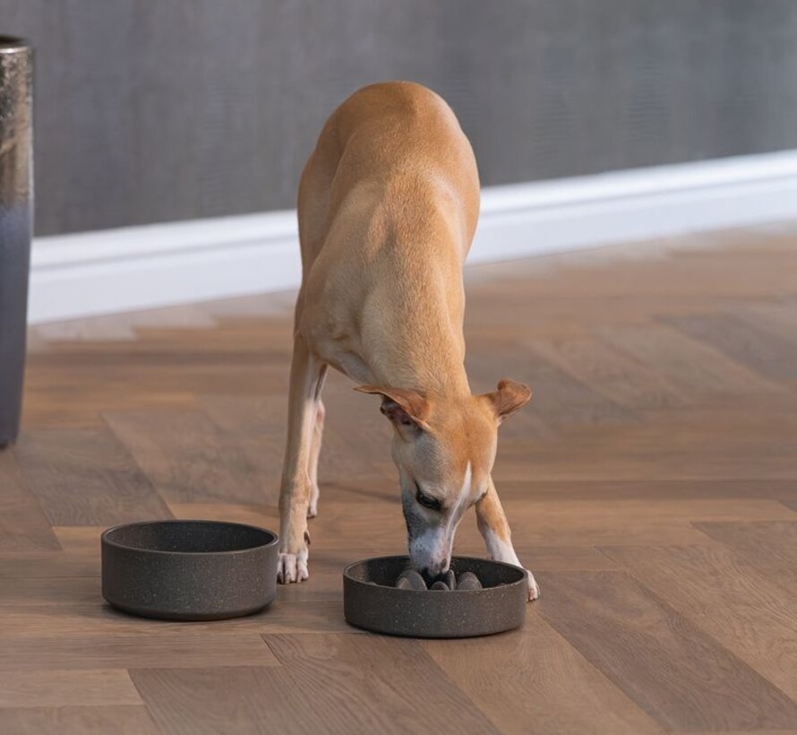 Designed by Lotte Anti Schrokbak Pom Grijs - Hond (21cm)