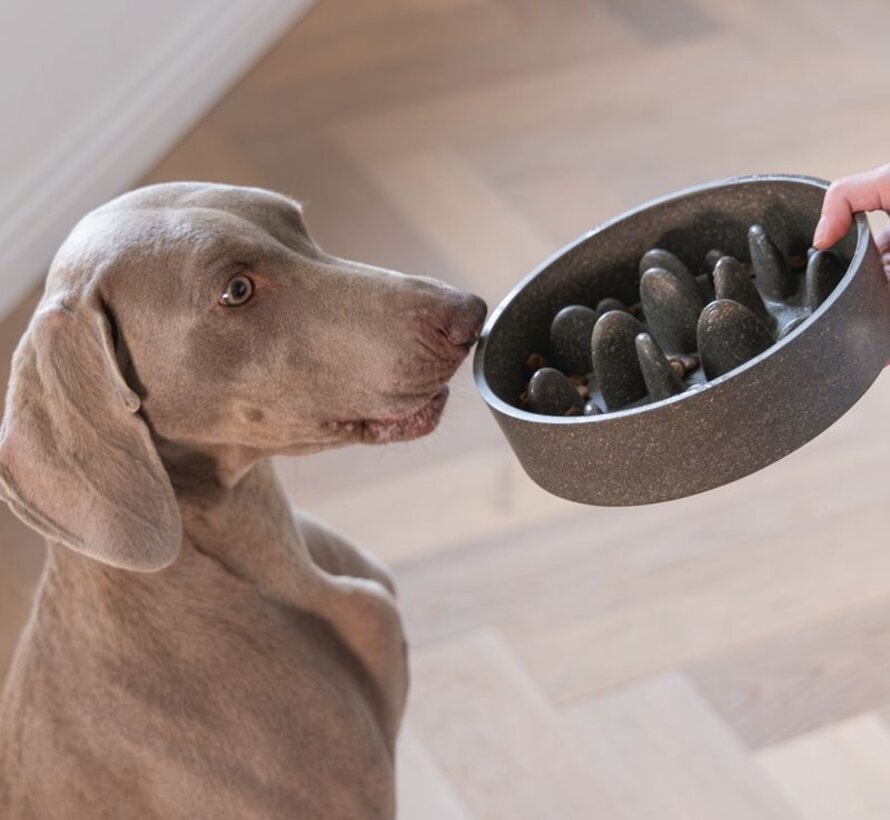 Designed by Lotte Anti Schrokbak Pom Grijs - Hond (21cm)
