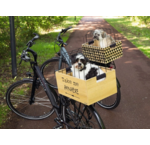 Transport en op reis