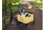Transport en op reis