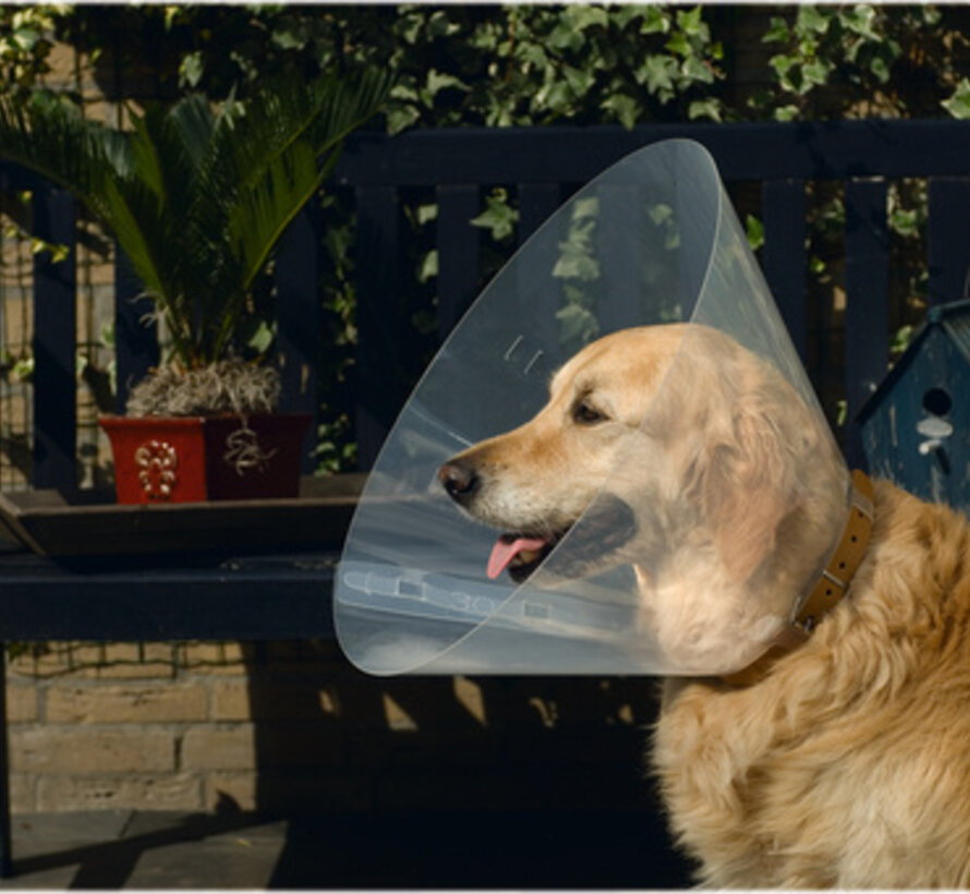 Beeztees Hondenkraag Plastic 22-25x7,5cm