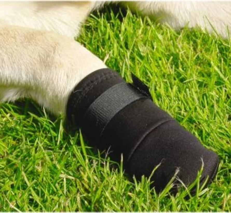 Beeztees Beschermingsschoen Hond Zwart S 2ST