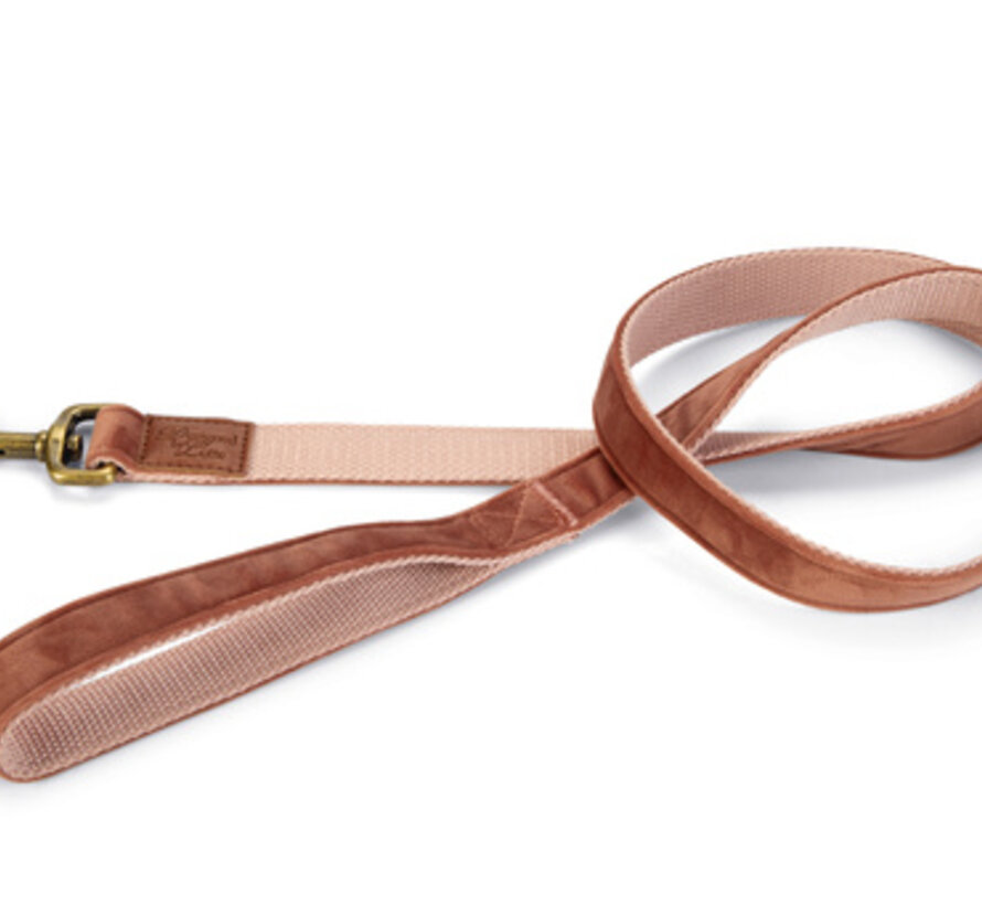 Designed by Lotte Velura Hondenriem Fluweel Roze 120cmx25mm
