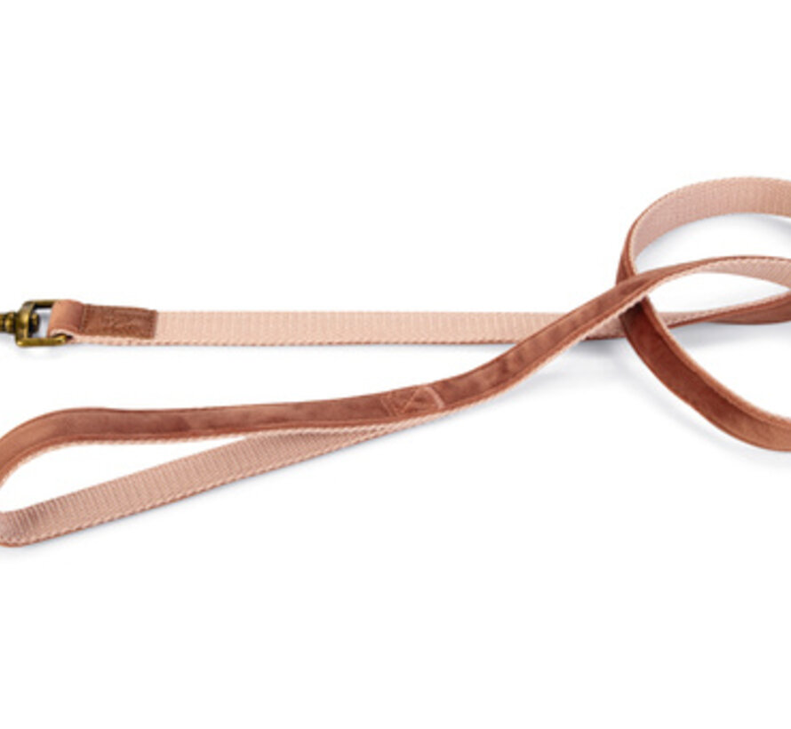 Designed by Lotte Velura Hondenriem Fluweel Roze 120cmx20mm
