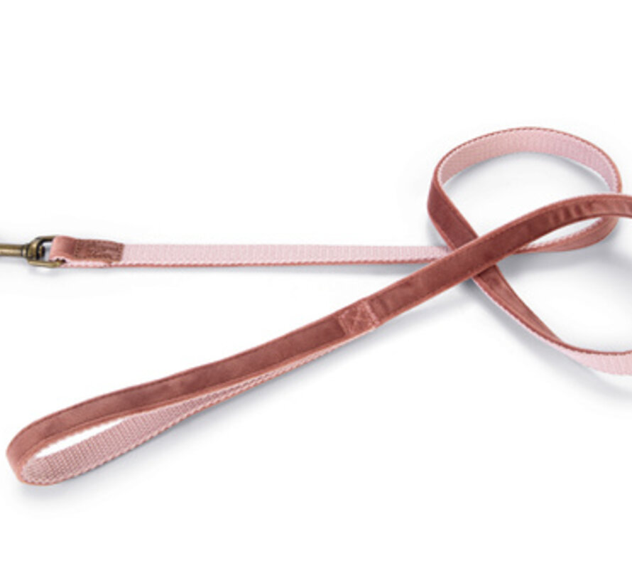 Designed by Lotte Velura Hondenriem Fluweel Roze 120cmx15mm