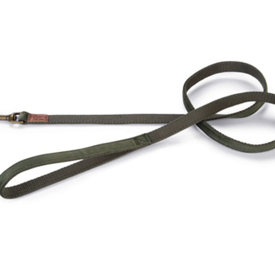 Designed by Lotte Velura Hondenriem Fluweel Groen 120cmx15mm