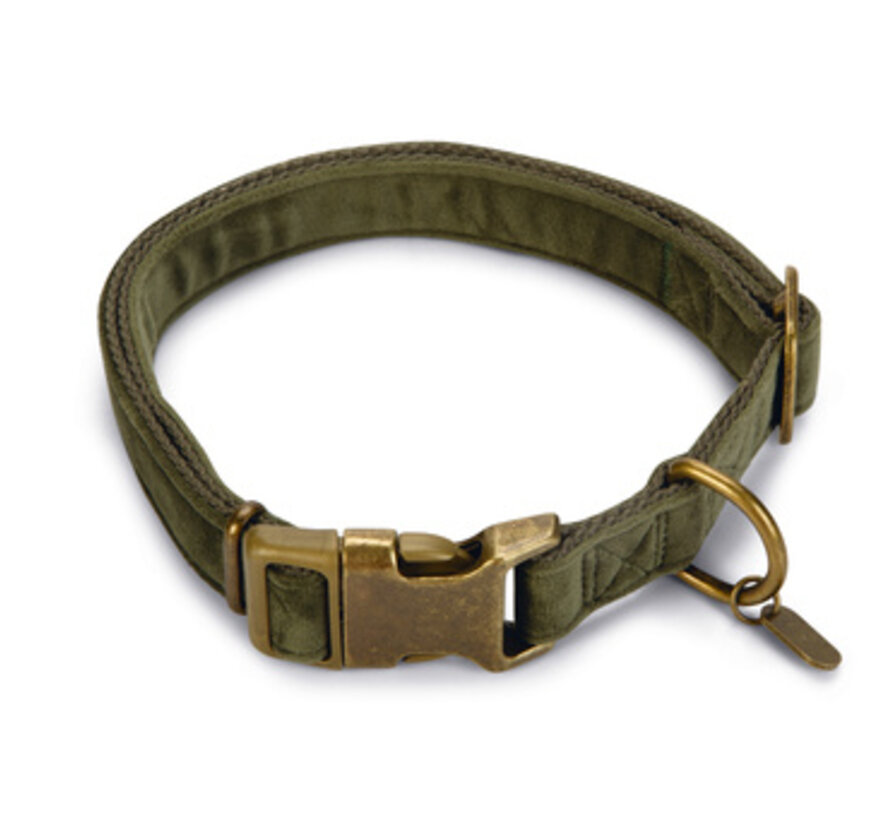 Designed by Lotte Velura Hondenhalsband Fluweel Groen 48-70cm x25mm