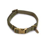 Beeztees Designed by Lotte Velura Hondenhalsband Fluweel Groen 35-50cm x20mm