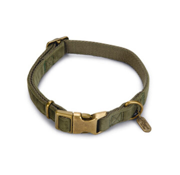 Beeztees Designed by Lotte Velura Hondenhalsband Fluweel Groen 35-50cm x20mm