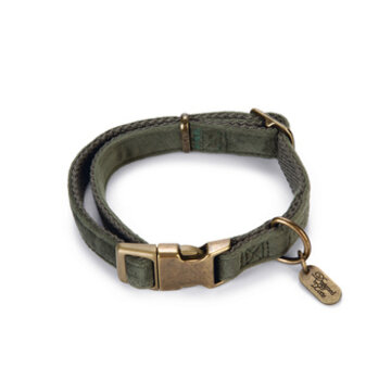 Beeztees Designed by Lotte Velura Hondenhalsband Fluweel Groen 26-40cm x15mm