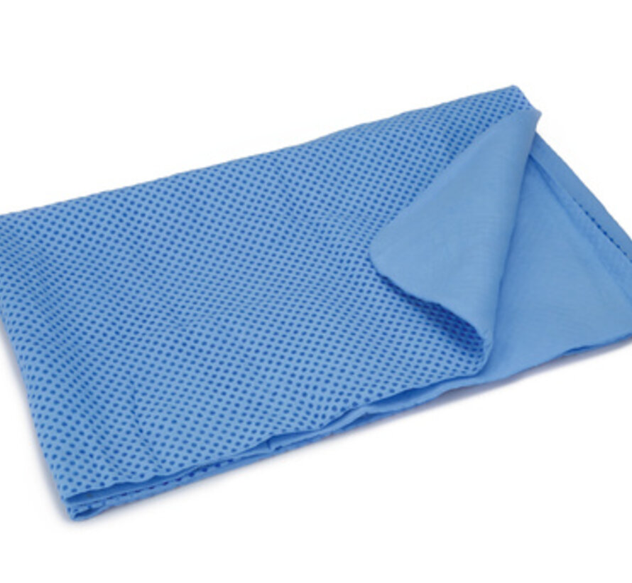 Beeztees Absorberende Drooghanddoek Blauw