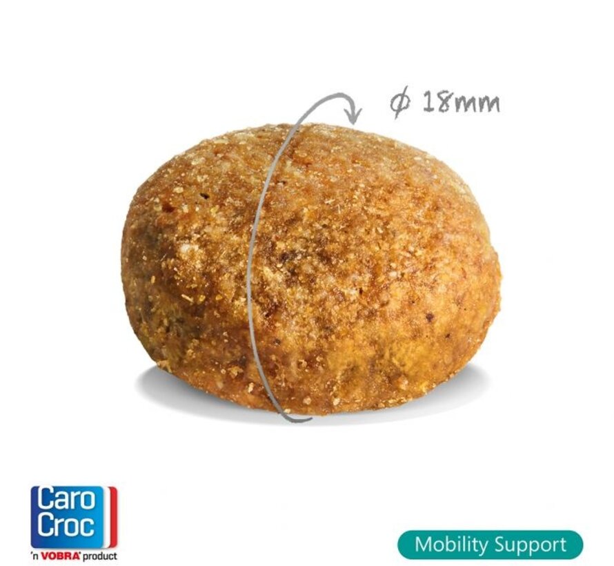 CaroCroc Mobility Support 12,5kg