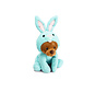 Beeztees Paasbeer Barry Pluche Blauw 38x25x16cm